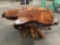 Natural wood coffee table, approx 40 x 18 x 36 in.