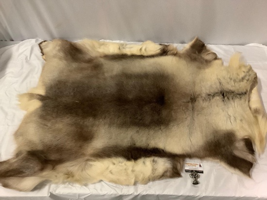 Bear skin rug, approx 60 x 36 in.