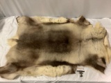 Bear skin rug, approx 60 x 36 in.