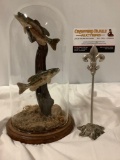 Wood carved fish diorama art piece in glass dome case Bass #2 by Gary Monson, approx 6 x 12 in.