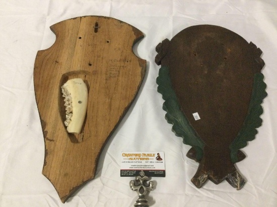 2 pc. lot if vintage 1960s taxidermy mounting boards, 1 with deer jaw bone / teeth.