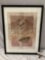 Framed signed butterfly art print, View 1 by William Marlow, #ed 126/300