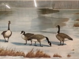 Framed vintage hand signed goose art print: Canadas At Queen Ann Lake by L.D. Schaperkotter,