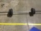 Barbell with weights Approximately 62 pounds of weights plus barbell