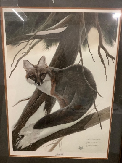 Gray Fox lithograph art print by John A Ruthven, hand signed, #ed 941/950, RARE fox face sketch by