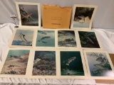 10 pc. set of vintage US Govt Printing Office wildlife portrait series no. 2 fish art prints by Bob