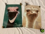 2 pc. lot if vintage ostrich posters / motivational art prints