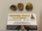 Three fine Burmese fossil amber nuggets with each one containing several fossilized insects