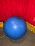 Thera-Band 75cm Professional exercise ball