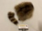 Vintage raccoon fur pelt w/ unattached tail, approx 12 in.