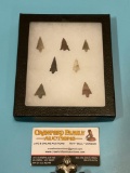 Collection of 7 Gem Bird point arrowheads found along Columbia River near the Dalles, OR. in the