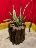Unique tree stump planter with real plants and petrified wood pieces.