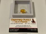 Gem quality Dominican Amber nugget containing fossilized female Gail Gnat in display case