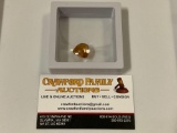 Display of a Burmese Burmite Amber nugget containing a Mycetophilid fly wasp.