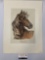 Vintage hand colored art print TURKMENISTAN - Arabian Horse signed by unknown artist, made in Italy