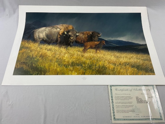 Lg. unframed Buffalo signed / numbered art print STORMY by Nancy Glazier, #ed 78/1200 w/ COA