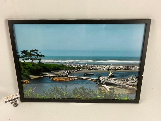 Framed color photograph of NorthWest coast beach scene, approx 31 x 22 in.