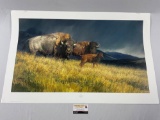 Lg. unframed Buffalo signed / numbered art print STORMY by Nancy Glazier, #ed 4/SOIE