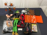 Assorted Halloween Decorations, Fabric, Halloween Candle Holder, Pet Costume, Various costume pieces