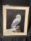 Vintage Signed Ltd Ed print of Snow Owl by artist Richard Moriarty