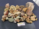 Nice Selection of Raw Jasper, Chalcedony, Petrified Wood, Chert, Agates