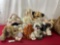 Assorted Bunny Plushies, Large Woven Basket Wooden Dolls Boyds Bears Brand, Large Teddy Bear & more