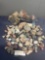 Collection of Stones, Variety of kinds, Agates, Jasper, Petrified Wood, & more, 50+ pieces