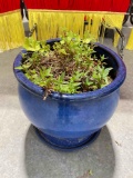 Beautiful Cobalt Blue Glazed Ceramic Garden Planter Pot. Excellent Condition. See pics.