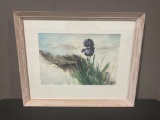 Framed Signed Watercolor on Board titled Black Iris by Robert Tucker, 23.5h x 31.5w x 2.5d inch
