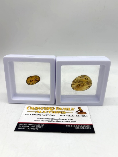 2 x Fossil Burmese Amber Pieces each w/ many different Fossil Insect inclusions C. 100 Million Ye...