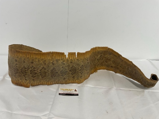 Old Rattlesnake Skin Dried & Flattened, still has rattle, approx 60 inches long