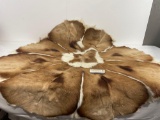 Deer Pelt Stitched Circular Piece, 45 inches in diameter, multiple pelts combined