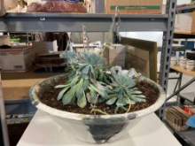 Vintage White & Green Glazed Ceramic Planter Pot w/ Succulents & Cast Iron Frog Decor. See pics.