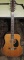 Twelve-String Dixon Guitar