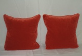 Lot of Two Pillows