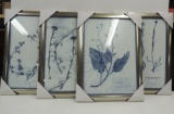 Collection of Framed Prints of Dried Flowers