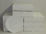 Hot Smart Heated Dinner Plates