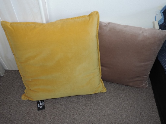 Lot of Two Pillows