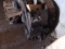 WINCH OFF SKIDDER