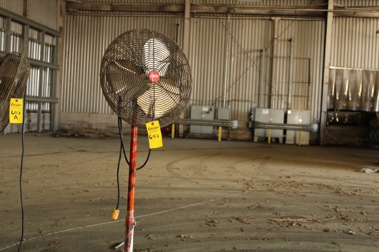 PEDESTAL FAN