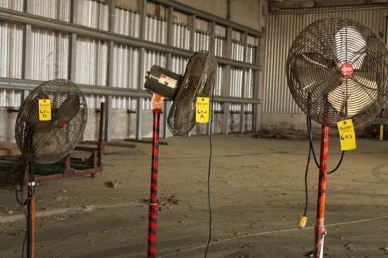 PEDESTAL FAN