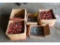 (5) BOXES OF STRAPPING CLIPS