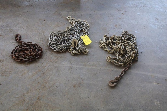 (3) LOGGING CHAINS