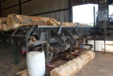 MELLOTT 50 FT ENDWISE LOG CONV W/ LADDER BACK CHAIN & HYD DR, 4 ARM LOG KICKER