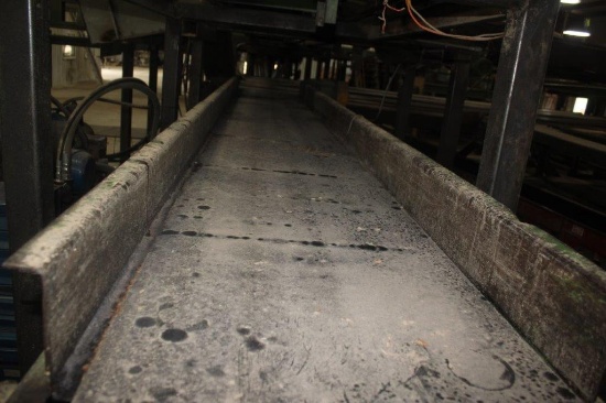 Reckart 24in x 17ft Belt Conveyor w/ Elec Dr