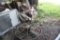 Wacker Power Trowel, No Motor