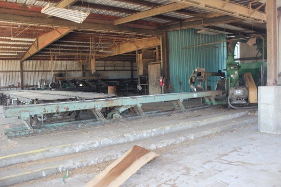 Vibratory Conveyor 17in x 28ft x 8in Deep w/ Dr & Transition to Chipper