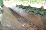 Infeed, Ladderback Chain Conveyor 11