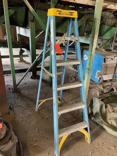 Werner 6ft Fiberglass Stepladder