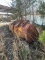 Approx 2 1/2 Yard Bucket Attachment
